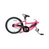 Bicicleta Co Pilot Roz WeeRide WR06PK 3