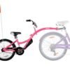 Bicicleta Co Pilot Roz WeeRide WR06PK 7