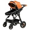 Carucior 2 in 1 reversibil S 18 BUF BOOF Brown 0 36 luni 4