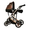 Carucior 2 in 1 reversibil X2 Gold 0 36 luni BUF BOOF 3