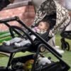 Carucior 3 in 1 Peg Perego Veloce Lounge 0 22 kg Graphic Gold Negru Bej 2