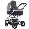 Carucior Chipolino Estelle 2 in 1 mist 1
