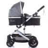 Carucior Chipolino Estelle 2 in 1 mist 12