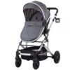Carucior Chipolino Estelle 2 in 1 mist 13