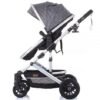 Carucior Chipolino Estelle 2 in 1 mist 2