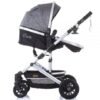 Carucior Chipolino Estelle 2 in 1 mist 3