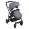 Carucior Evo 3 in 1 Suits Me 1
