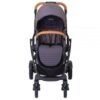 Carucior Graco Evo XT Iron 1