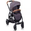 Carucior Graco Evo XT Iron 2