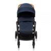 Carucior Graco Near2Me TS Eclipse 1
