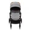 Carucior Near2Me TS Steeple Grey 3