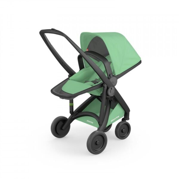 Carucior Reversible 100 Ecologic Black Mint