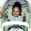Carucior Reversible 100 Ecologic Black Mint 7