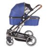 Carucior modular 2 in 1 cu suspensii Divaina True Blue 4
