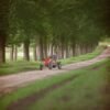 Kart cu pedale Berg Extra Sport Bfr red 3
