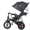Tricicleta Chipolino Bolide 2021 Asphalt 2