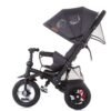 Tricicleta Chipolino Bolide 2021 Asphalt 3