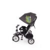 Tricicleta Kikka Ride Vetta Air Parrots 3