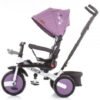 Tricicleta cu sezut reversibil Chipolino Largo dhalia 1
