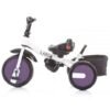 Tricicleta cu sezut reversibil Chipolino Largo dhalia 5