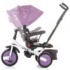 Tricicleta cu sezut reversibil Chipolino Largo dhalia 8