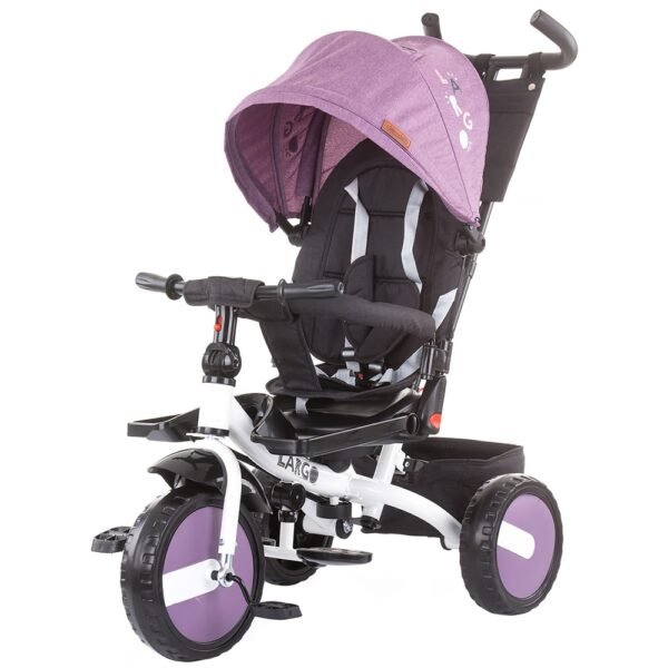 Tricicleta cu sezut reversibil Chipolino Largo dhalia 9