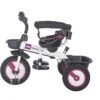 Tricicleta multifunctionala MamaLove Rider Violet 2