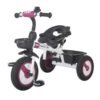 Tricicleta multifunctionala MamaLove Rider Violet 5