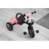 Tricicleta pentru copii Toyz EMBO Roz 11