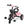 Tricicleta pentru copii Toyz EMBO Roz 4